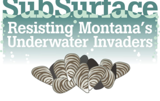 SubSurface: Resisting Montana's Underwater Invaders