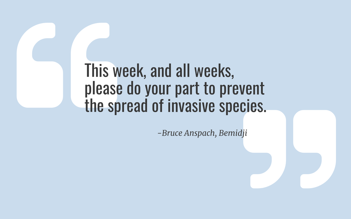 National Invasive Species Awareness Week February 24th 28th 