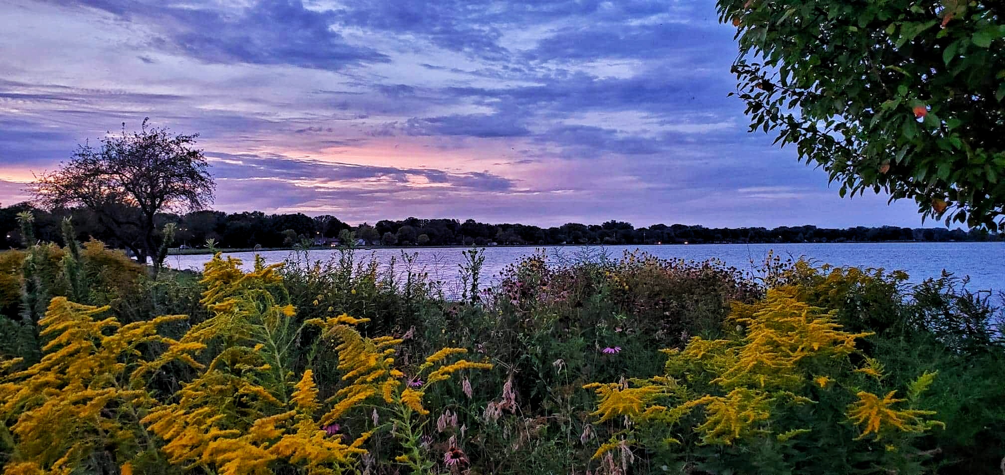 Kelly_Winnebago_2019_Menominee Park plantings