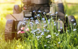 Lawn mower sitting unused in tall grass during No Mow May
