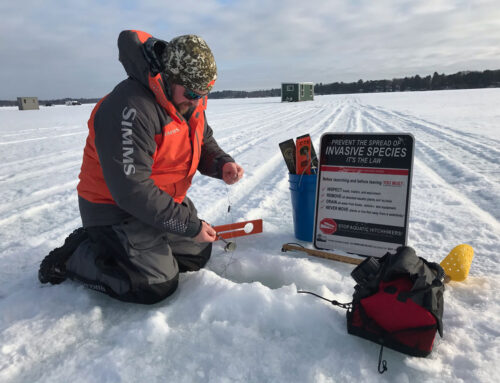 Ice Fishing? Even Icy Wisconsin Waters Host Aquatic Invasive Species