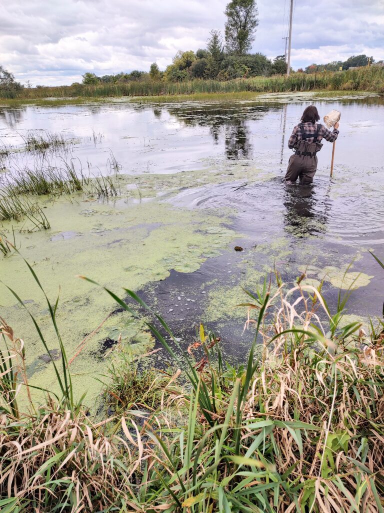 IMG_20220926_112859403_HDR