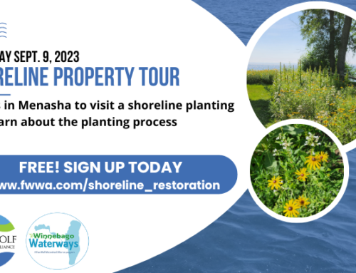 Shoreline Planting Tour in Menasha on Sept. 9, 2023