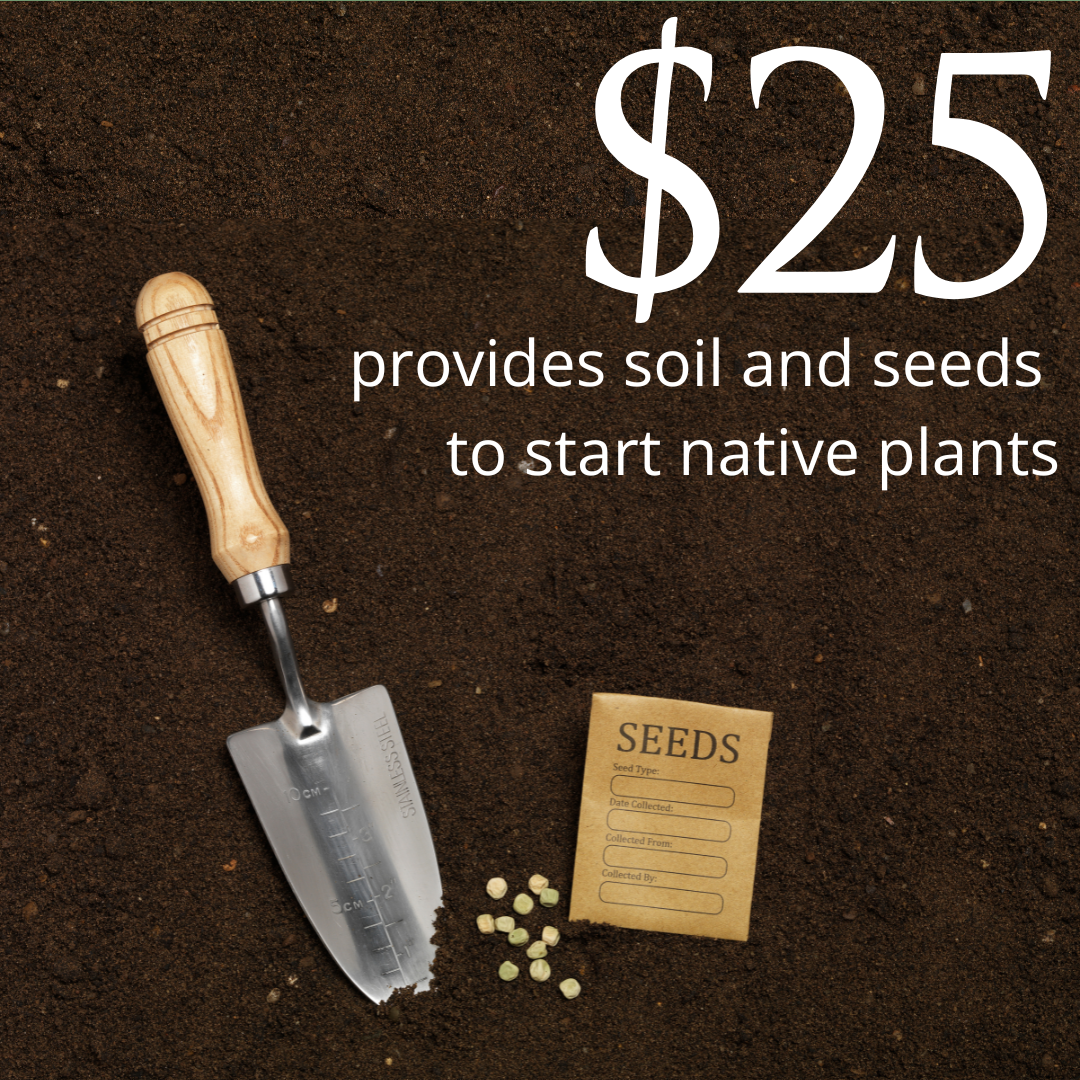 $25 provides soil and seeds to start native plants