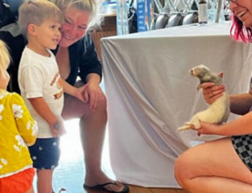 Pet Rehoming Event in Green Bay Sees Eight Exotic Pets