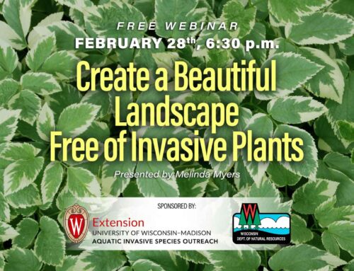 Free Webinar:  Create a Beautiful Landscape Free of Invasive Plants