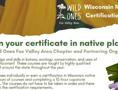 2024 Classes: Wisconsin Native Plant Certification Program – Wild Ones