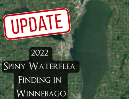 Update: 2022 Spiny Waterflea Findings in Lake Winnebago