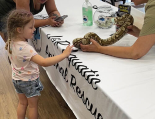 Exotic Pet Surrender in Kimberly Gives Pet Owners Options