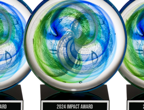 2024 Impact Award Winners