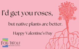 I'd get you roses, but native plants are better.