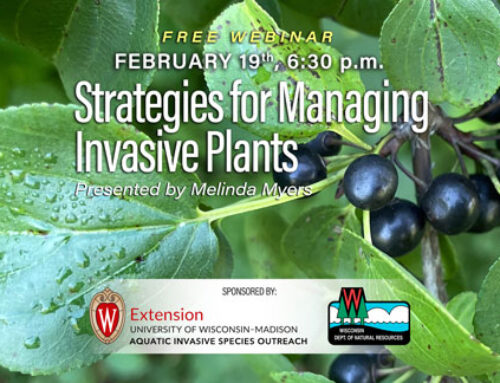 Free Webinar: Strategies to Manage Invasive Species on Your Property