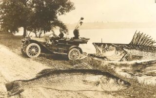 A humorous edited photograph from 1914-1916 showing giant walleye fish appearing to be reeled in by fishermen with a vintage automobile.