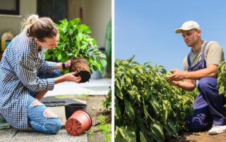 Left side shows a woman planting a potted plant at home; right side shows a farmer examining a crop in the field