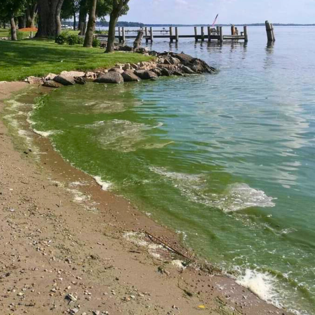 Rapid appearance during hot, calm weather » Fox-Wolf Watershed Alliance