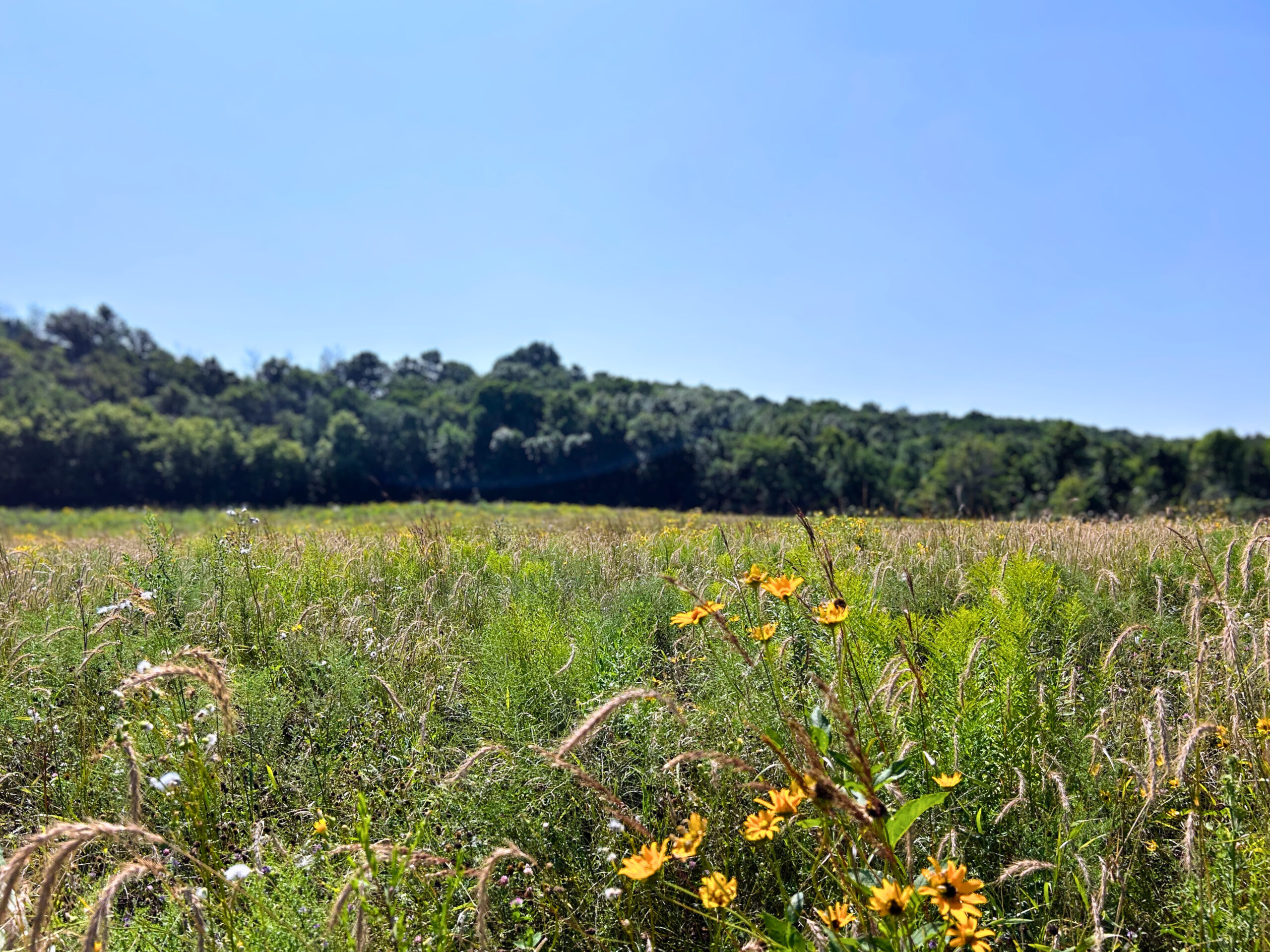 666b06cf-45bd-4755-b263-d4e285564d4d