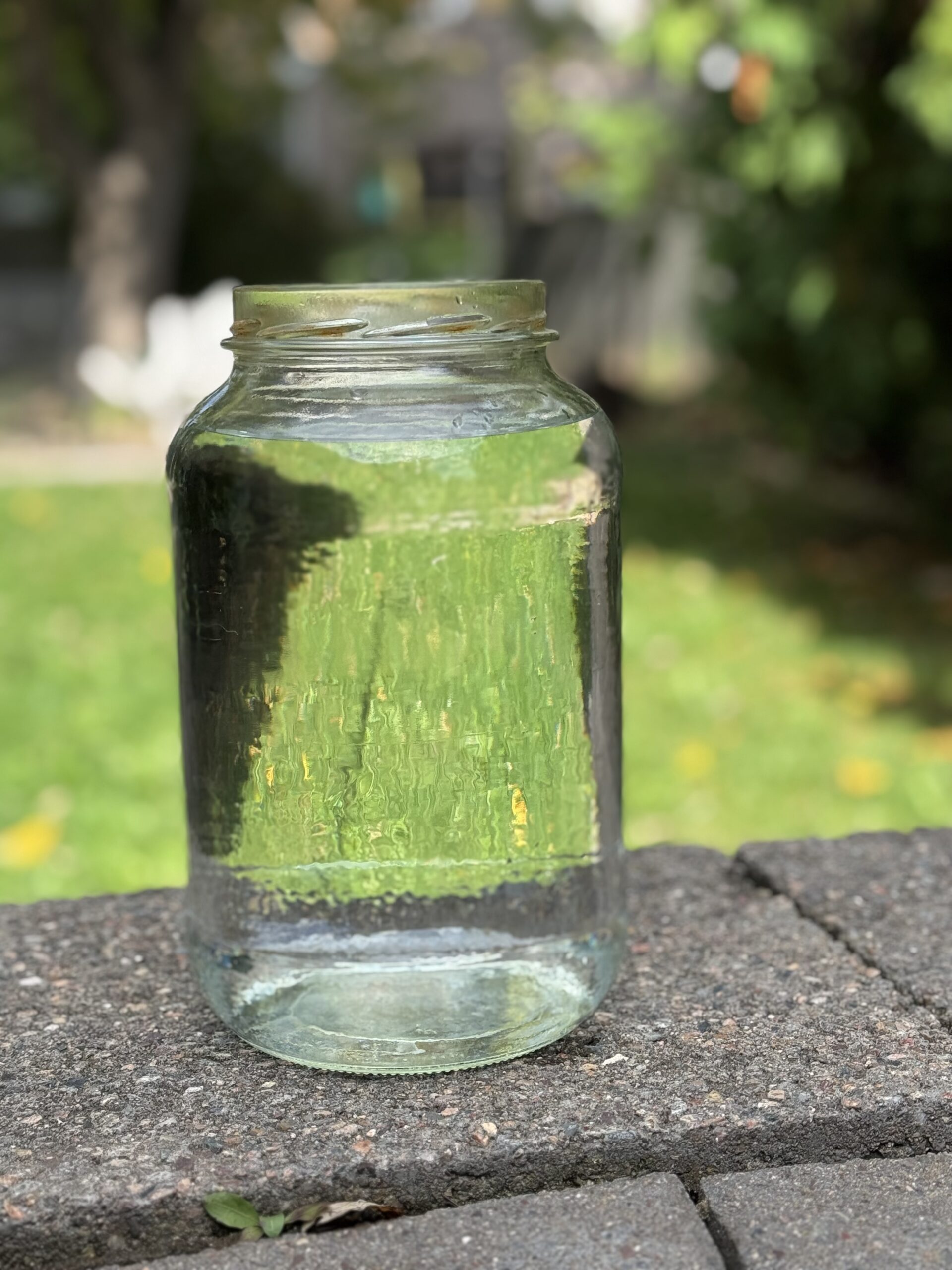 Clear glass jar of clean water on a brick ledge in a backyard.