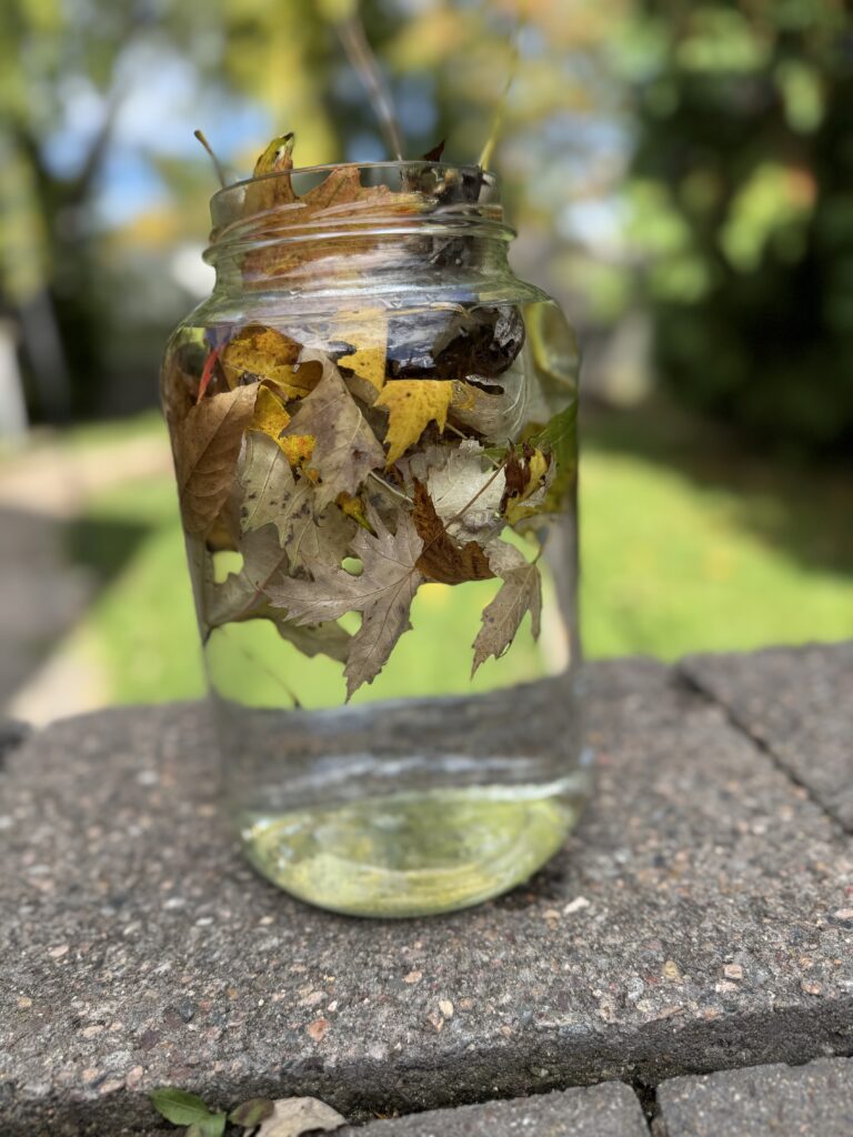 Color begins ar showing leaves steeping in water as the liquid turns light yellow.