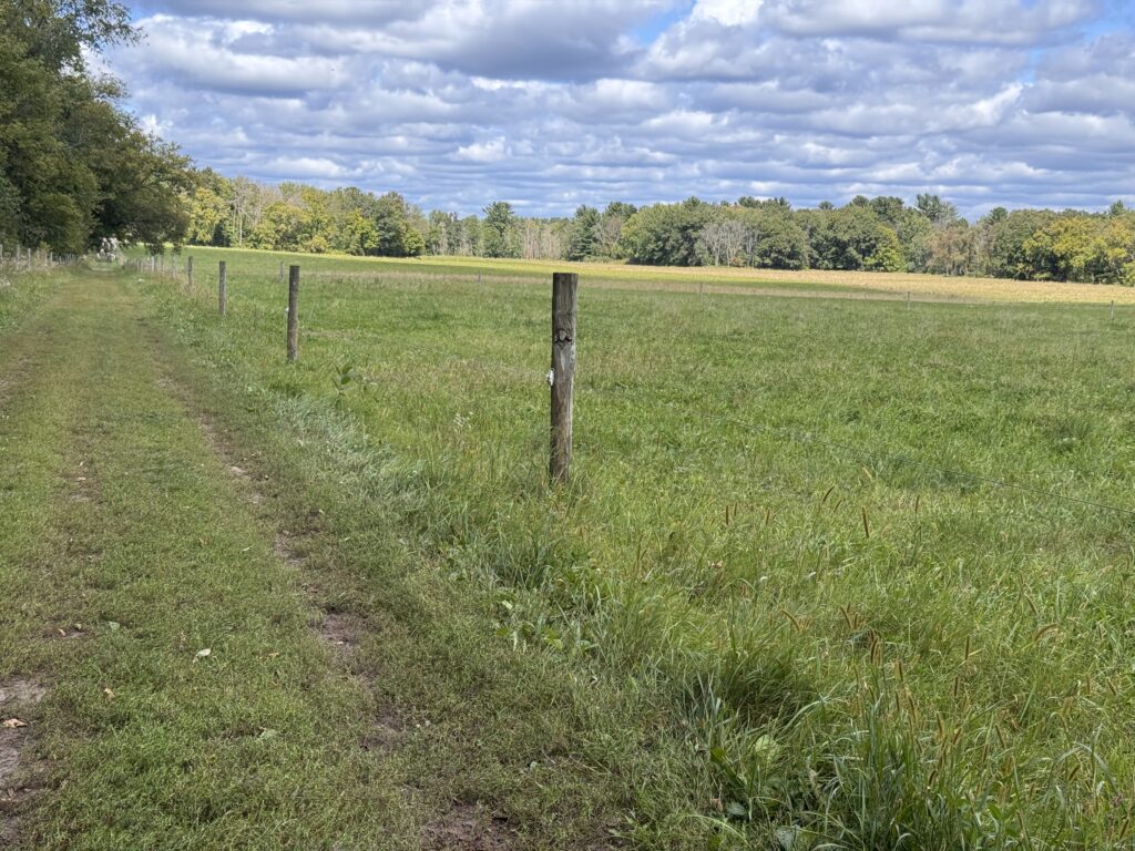 Grassy farm lane and a line of fence posts bordering a green pasture on Rachel Bouressa’s farm, with trees and a cloudy blue sky in the distance.