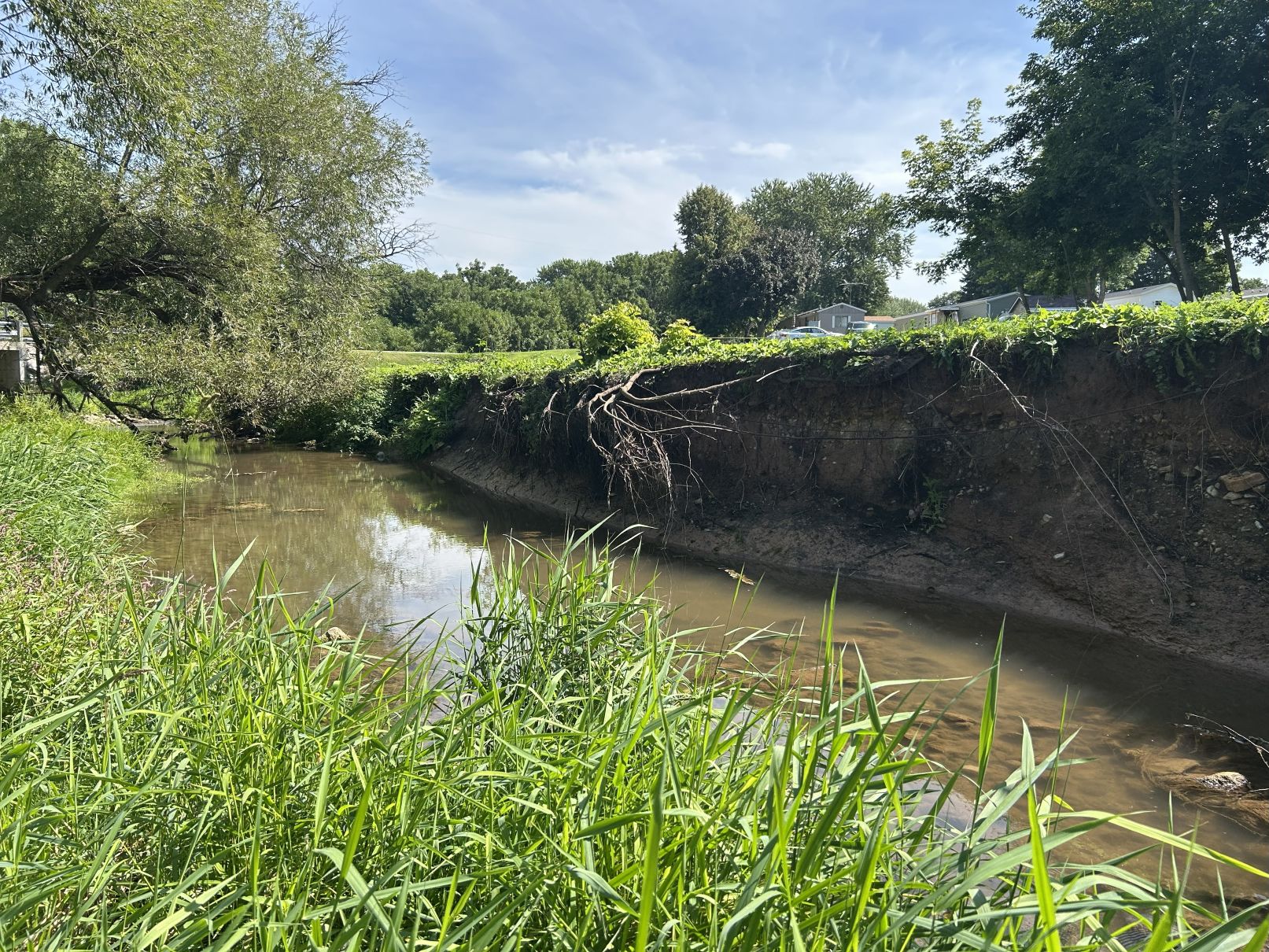 brothertowncreekshorelineerosion