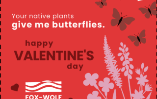 Red Valentine graphic with pink silhouettes of native flowers at the bottom right and brown butterflies flying across the top. Text reads “Your native plants give me butterflies. Happy Valentine’s Day” with the Fox-Wolf Watershed Alliance logo at the bottom.