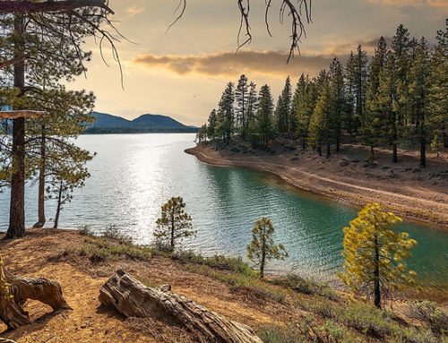 Most Successful Invasive Species Removal Projects in US Lakes