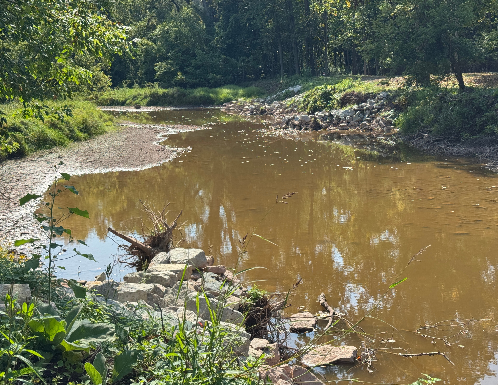 Wrightstown Plum Creek with Barbs