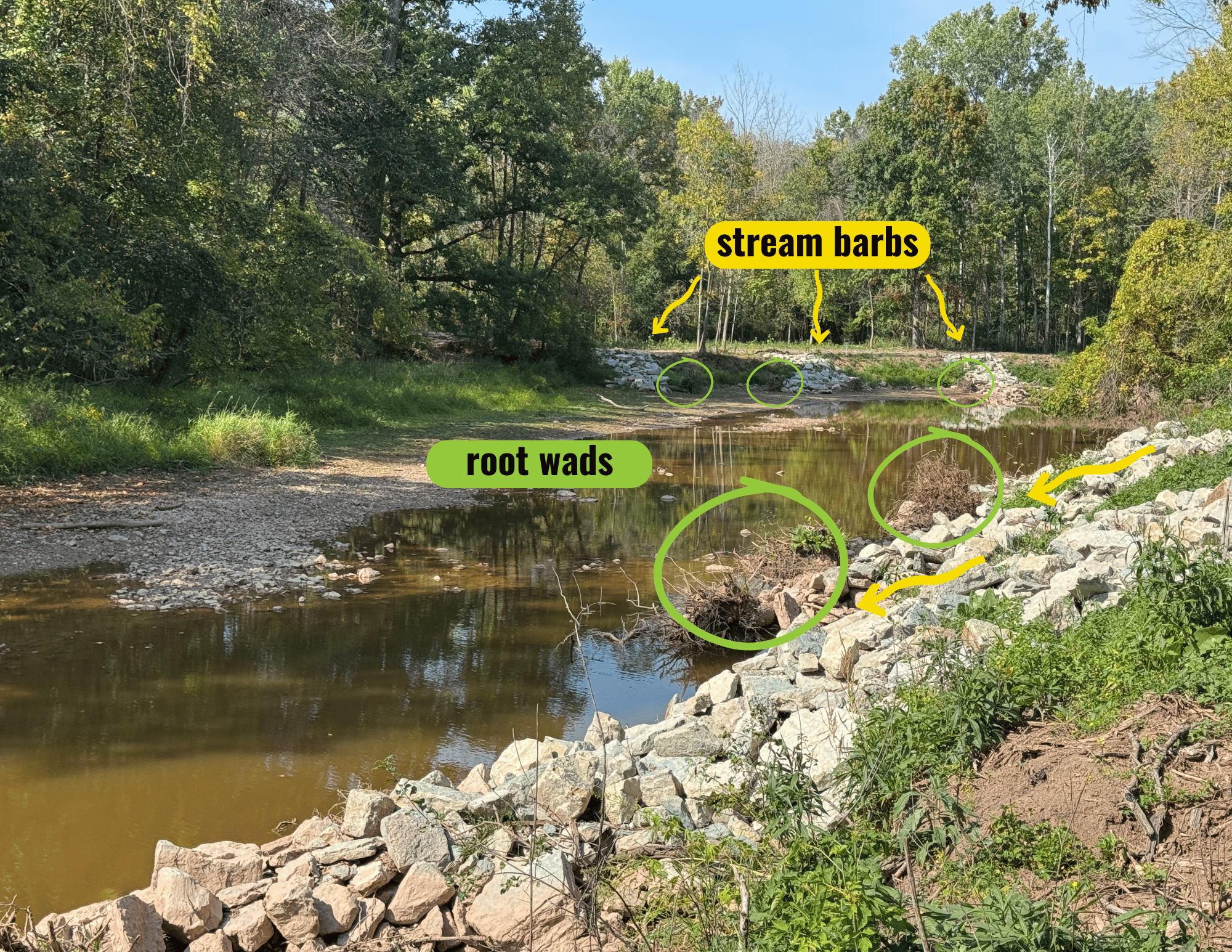 Wrightstown Plum Creek Barbs